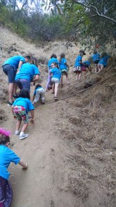 IMG_20150701_115928351