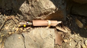 IMG_20170711_112945174_HDR