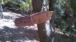 IMG_20140707_140725_248