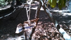 IMG_20140707_140737_077