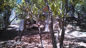 IMG_20140707_141610_262